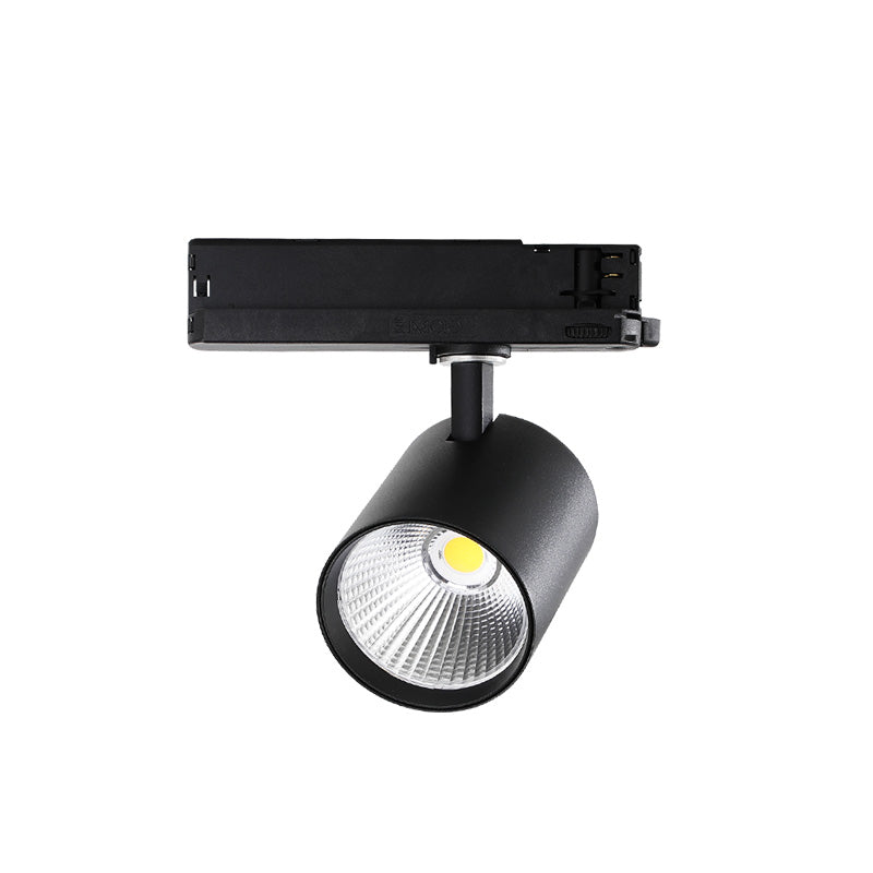 120V Track Light