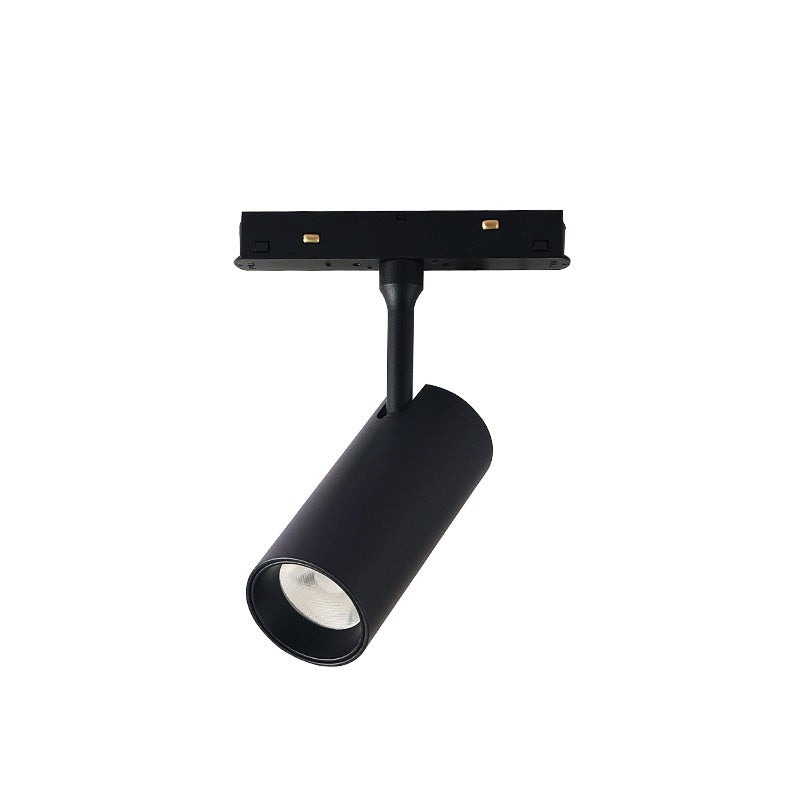 Magnetic Light