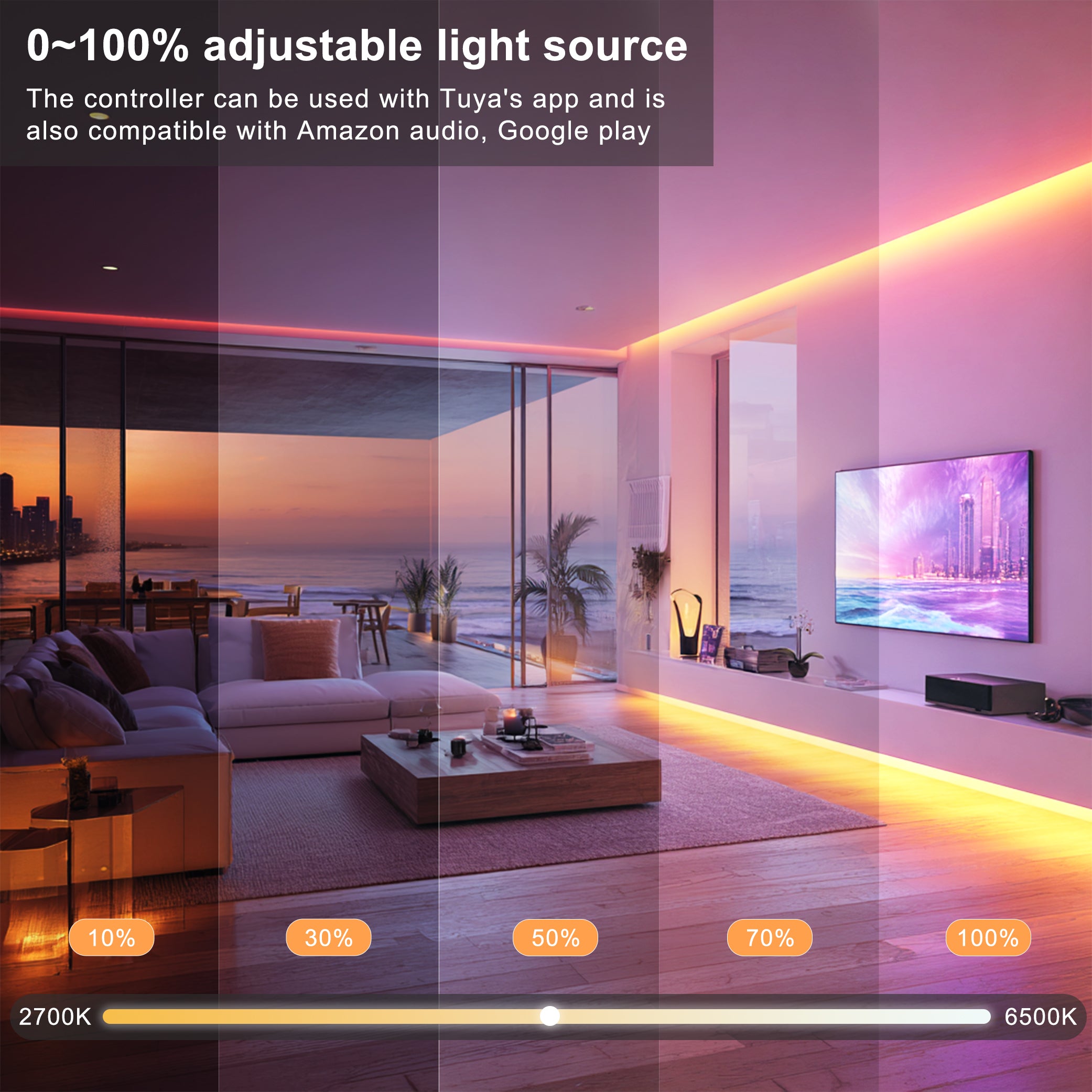 RGB Smart IC strip lights